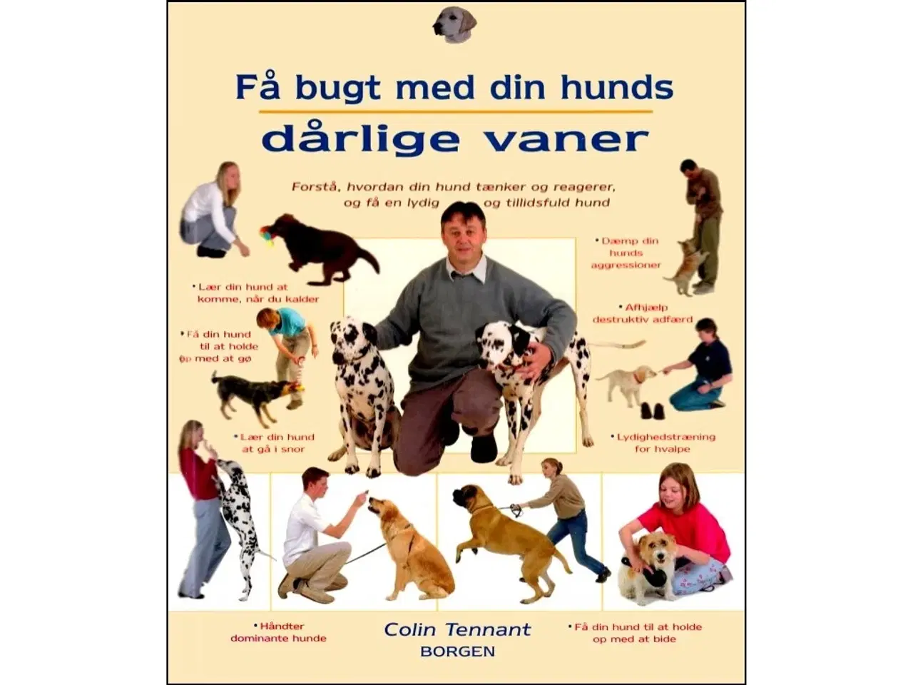 Billede 1 - Få bugt med din Hunds dårlige Vaner