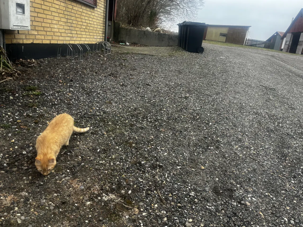 Billede 5 - Dejlige indendørskillinger -Afdrag muligt 