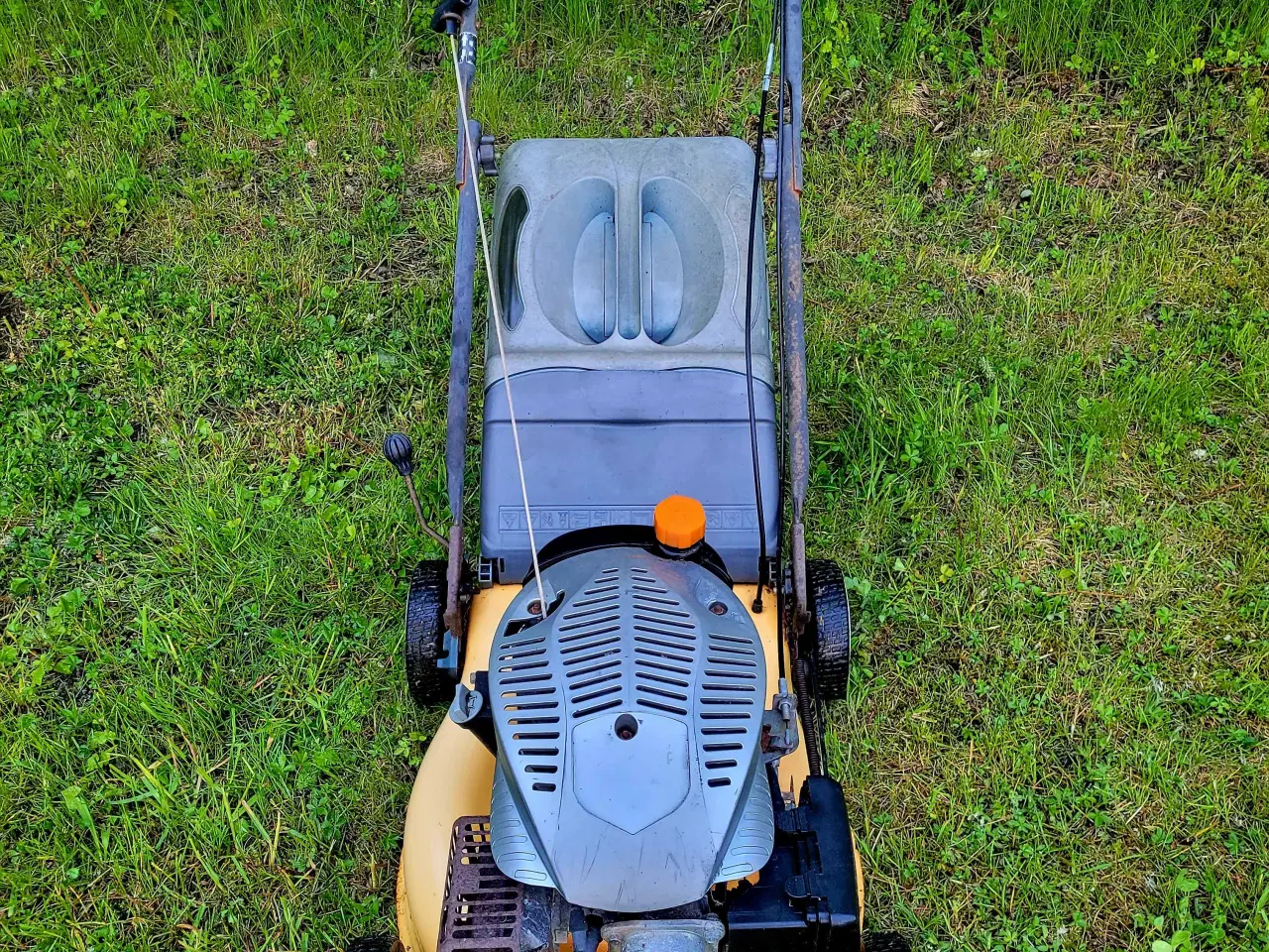 Billede 3 - Selekta SL 50 TR COMBI