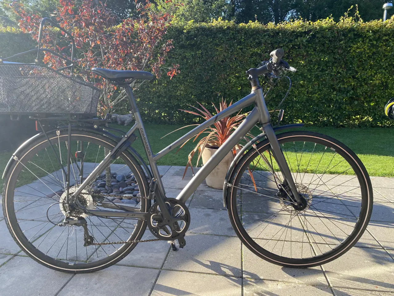 Billede 4 - Damecykel - Companion C1.0