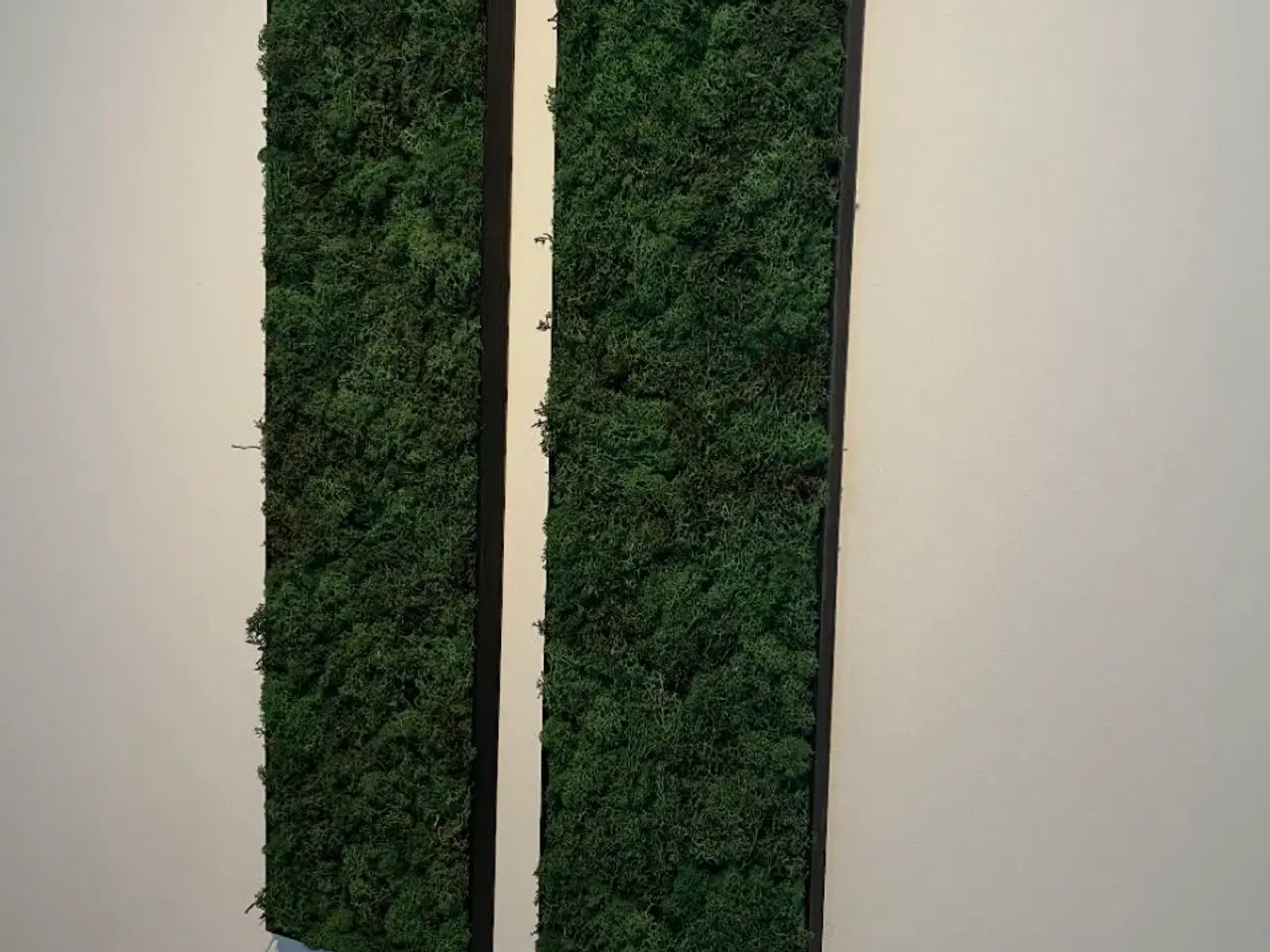 Billede 15 - Mos billeder vi laver 