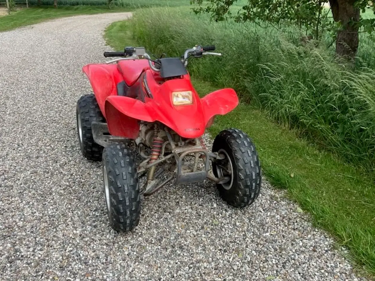 Billede 1 - Honda 250cc ATV