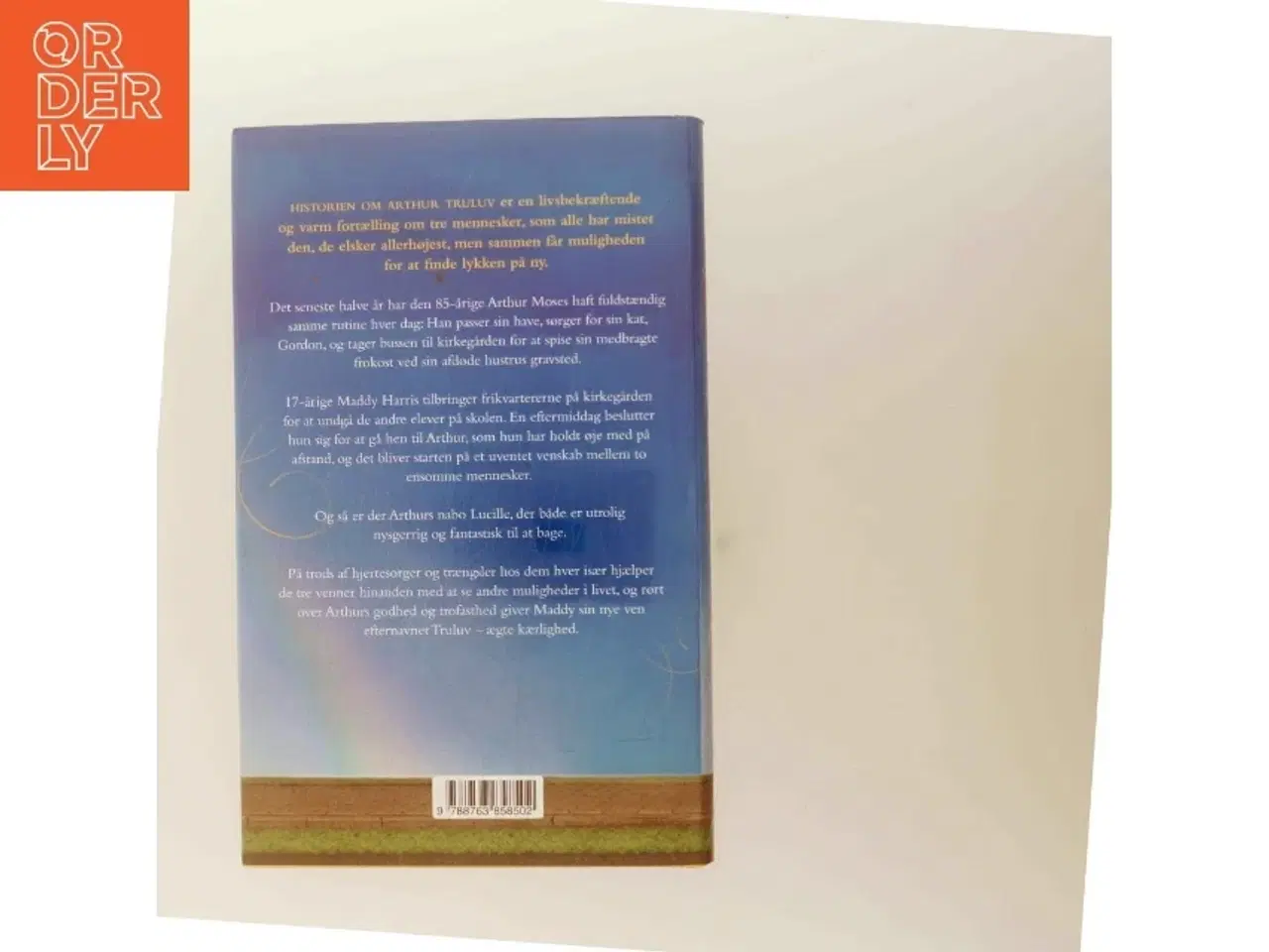 Billede 3 - Historien om Arthur Truluv af Elizabeth Berg (f. 1948) (Bog)