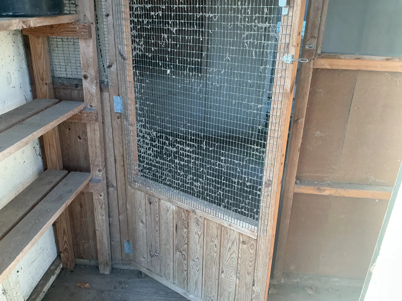 Billede 5 - Due/hønsehus ( gratis)