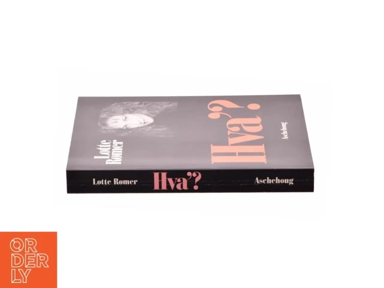 Billede 3 - Hva&#39;? af Lotte Rømer (Bog)