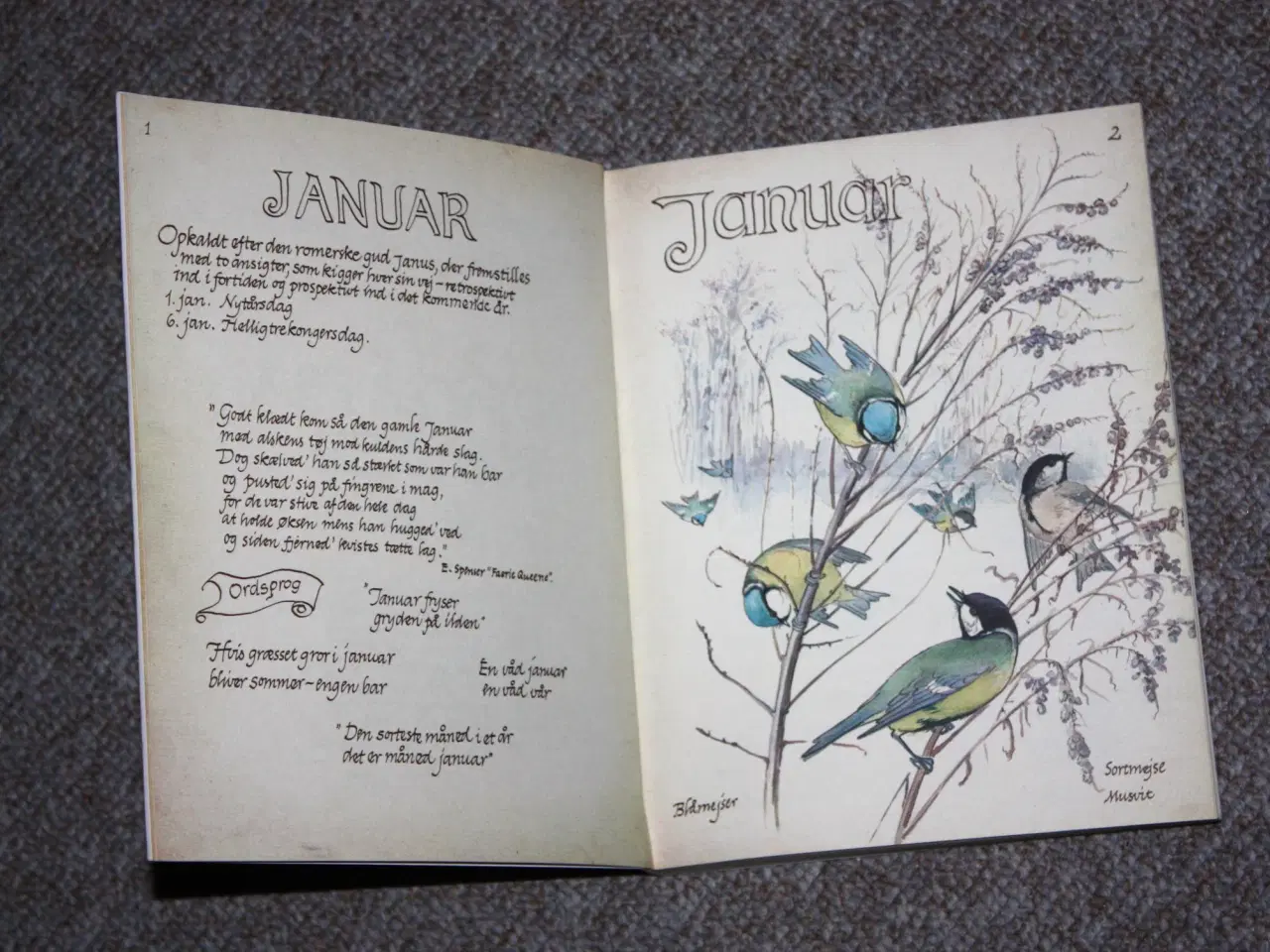 Billede 3 - Naturdagbog af en engelsk dame år 1906 Edith Holde