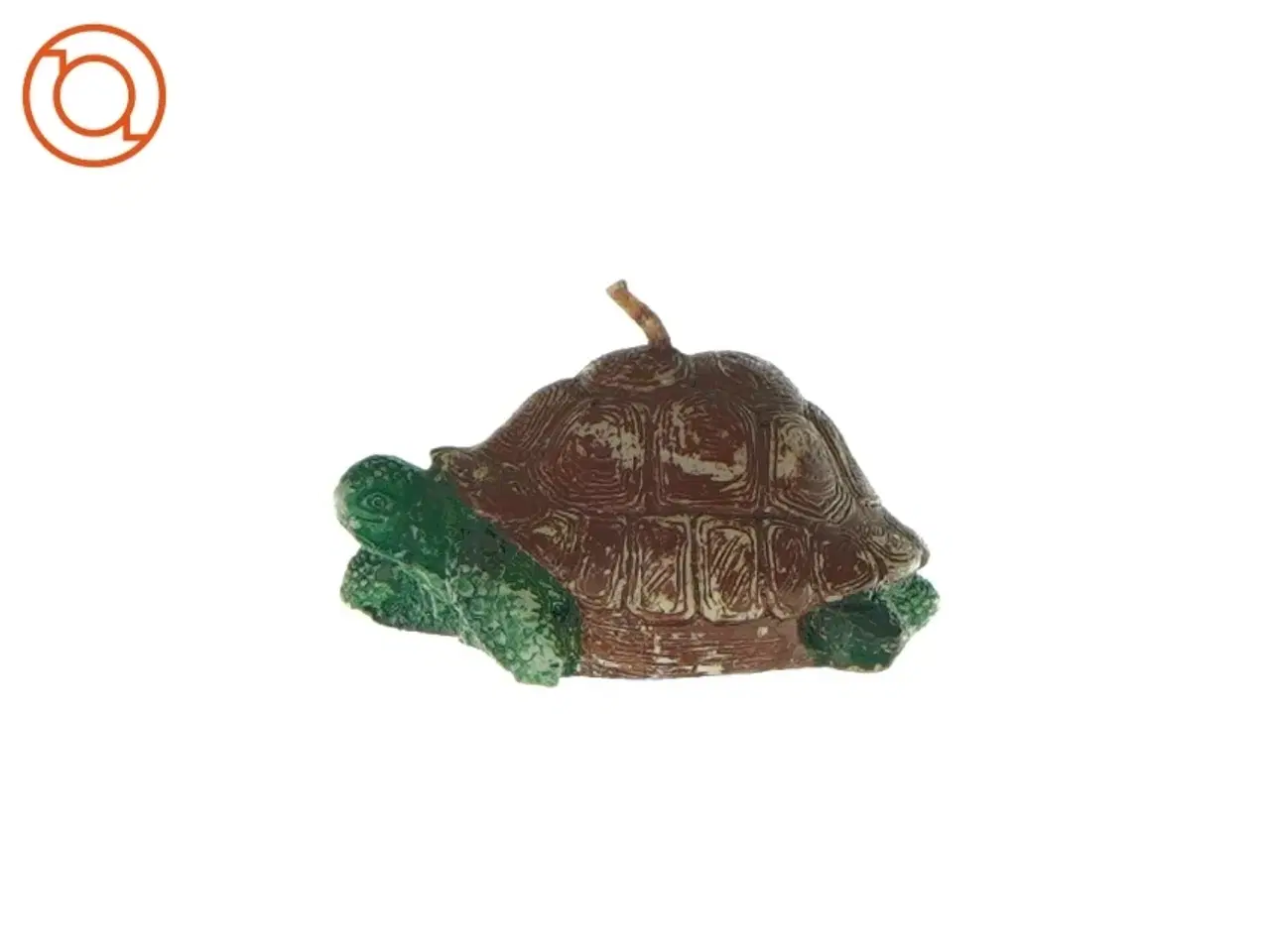 Billede 1 - Skildpadde starinlys