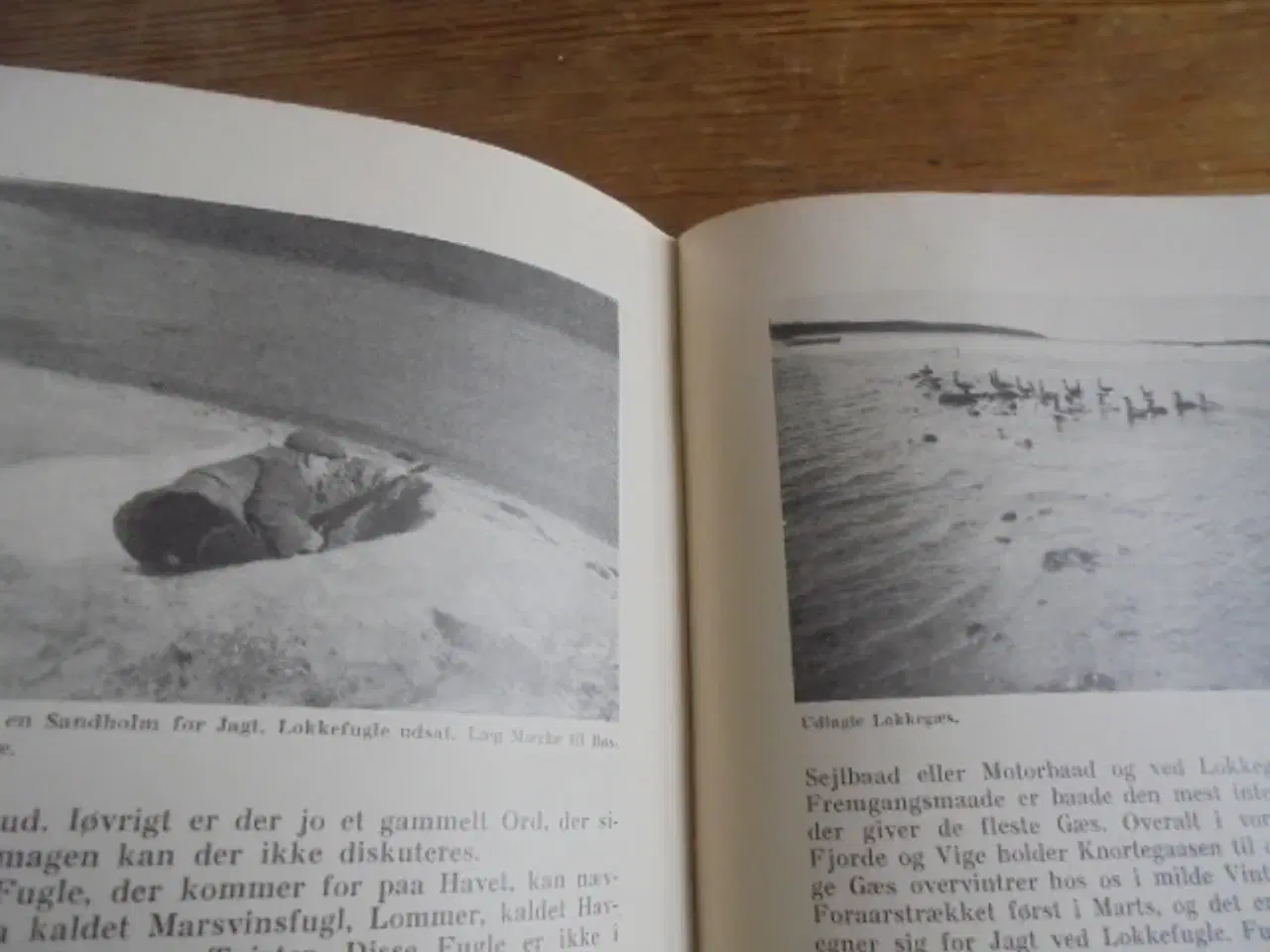 Billede 7 - Hvad enhver jæger bør vide (1. udgave 1935)  