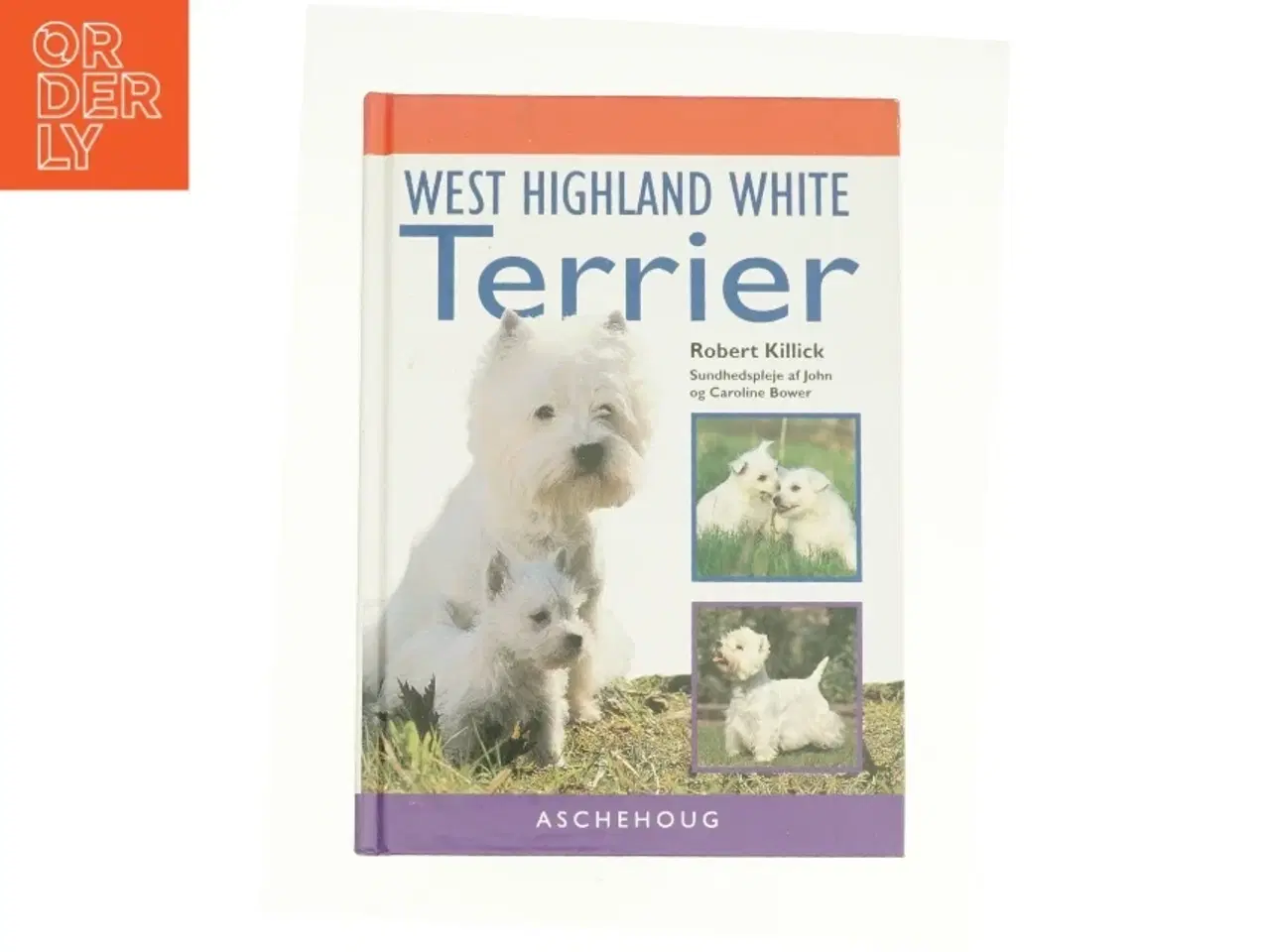 Billede 1 - West hightland white terrier (bog)