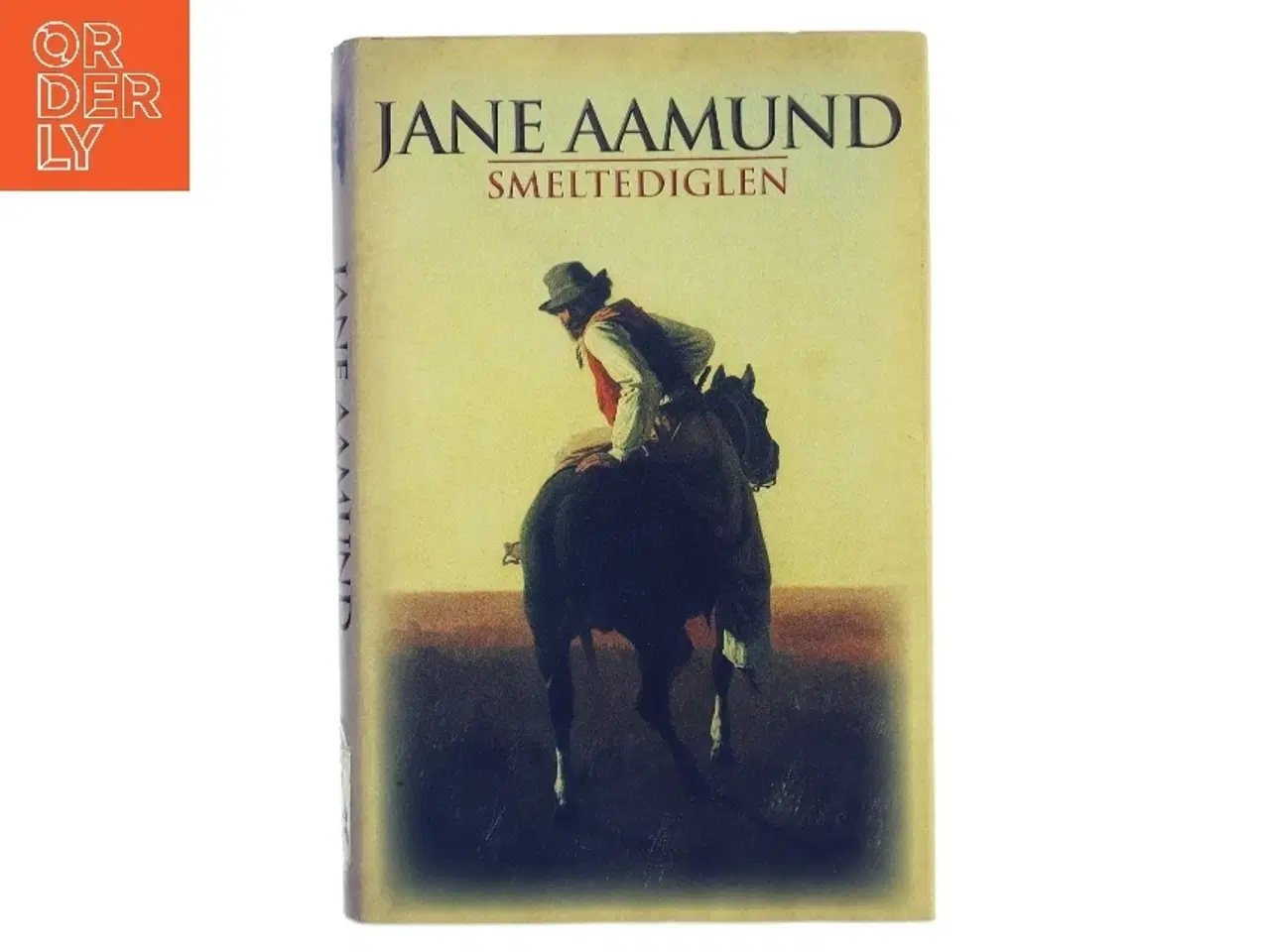 Billede 1 - Smeltediglen : andet bind i slægtskrøniken om de dansk-argentinske indvandrere : roman af Jane Aamund (Bog)