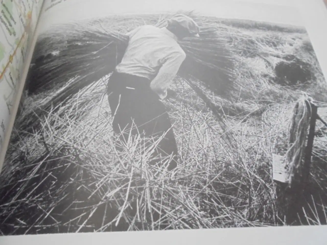 Billede 7 - Vestjylland – oplevet og beskrevet af Svend Cederg