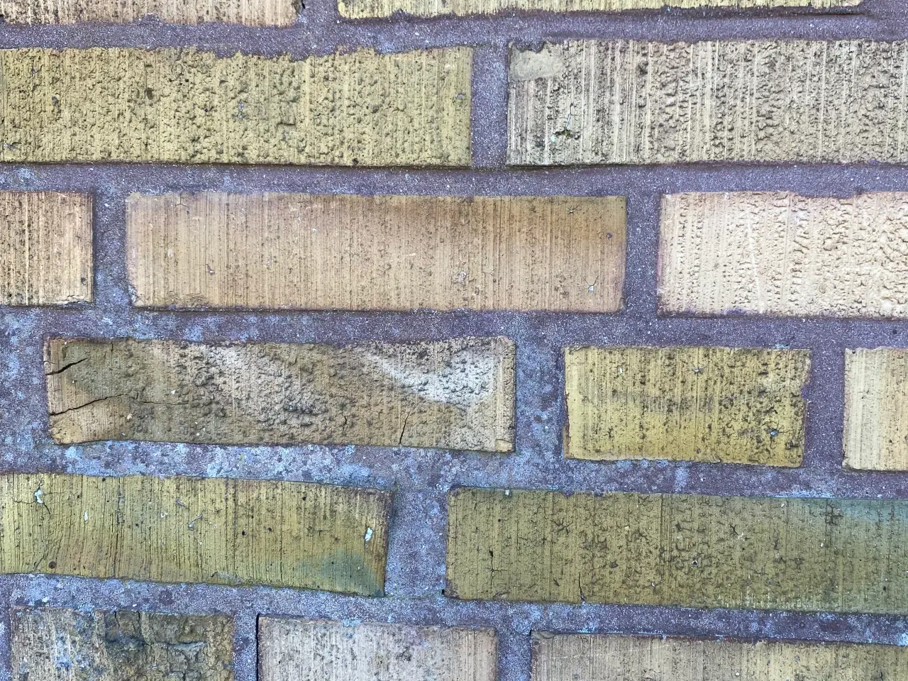 Billede 5 - Søger gule børstede mursten 