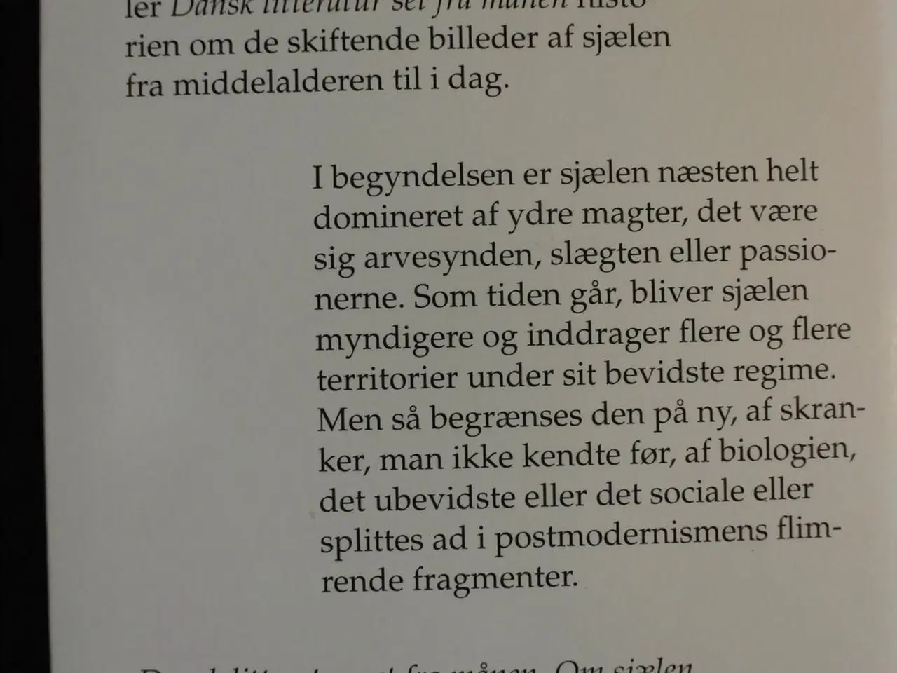 Billede 4 - dansk litteratur set fra månen - om sjælen i digtn