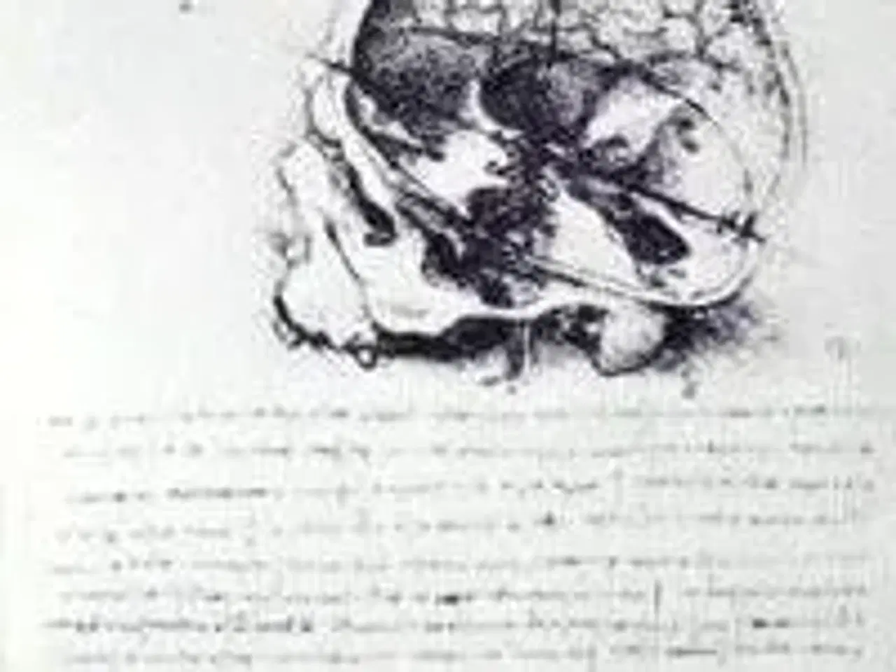 Billede 1 - Brug din hjerne - til en forandring