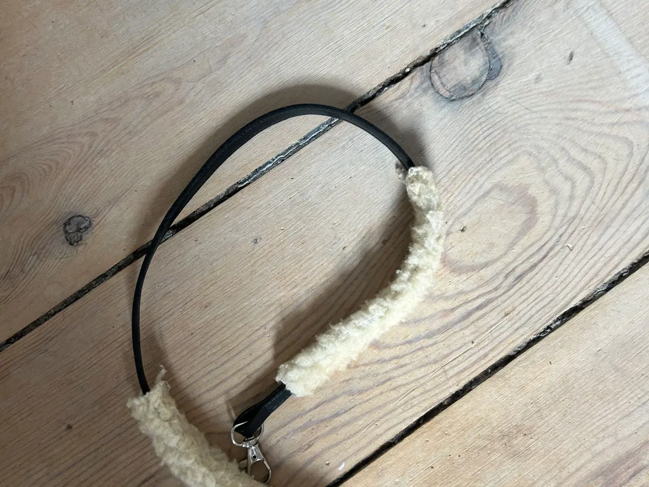 Billede 7 - Kæphest sælges+hovedtøj, grime 🌺