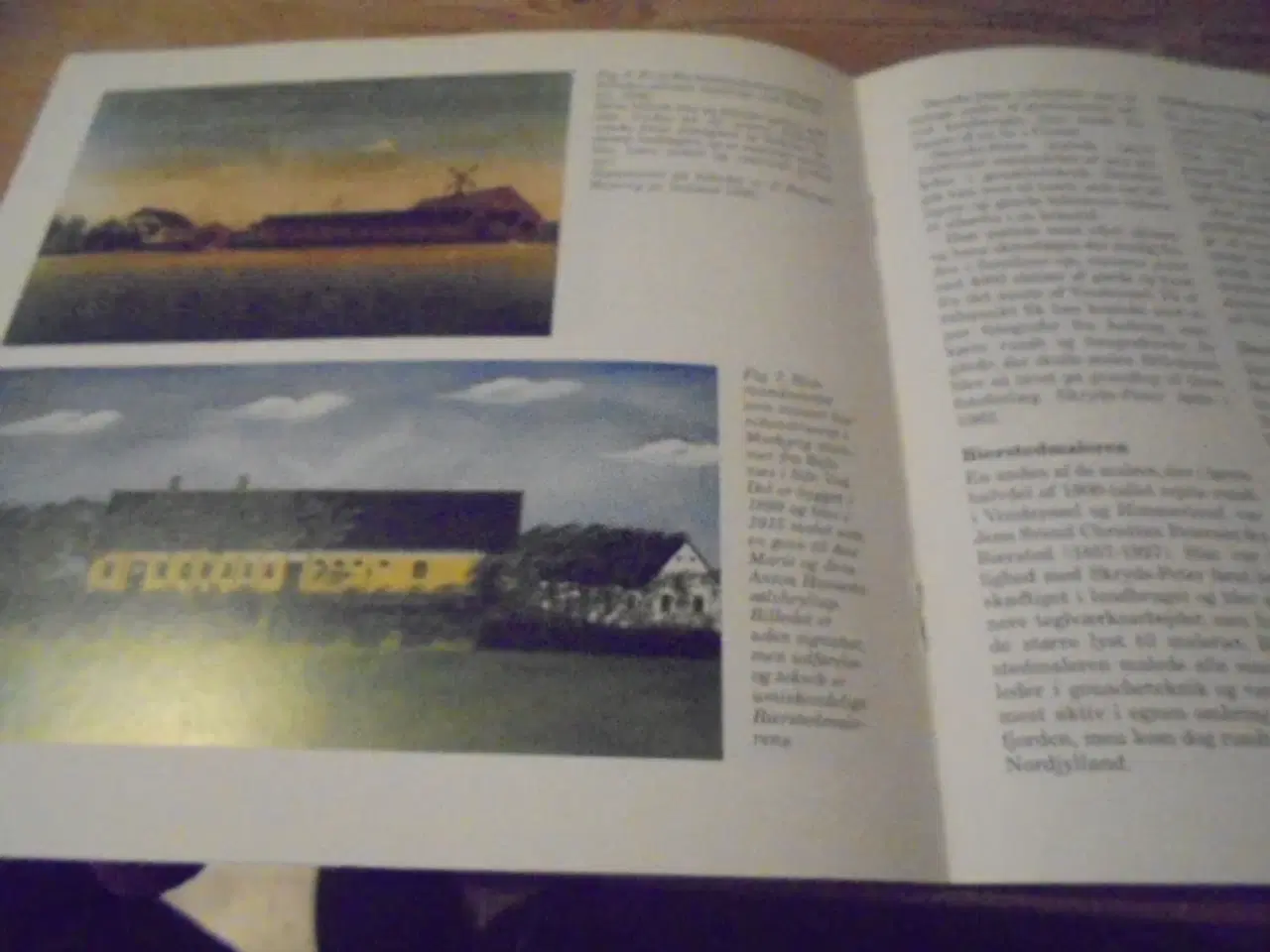 Billede 4 - Gårdmalerier – særtryk fra 2004