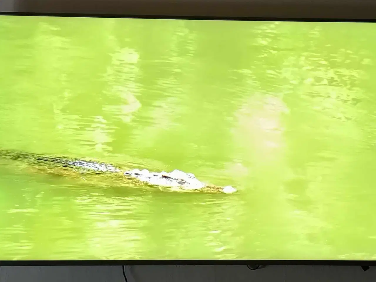 Billede 8 - Rigtig lækkert Samsung 65 QLED Smart TV