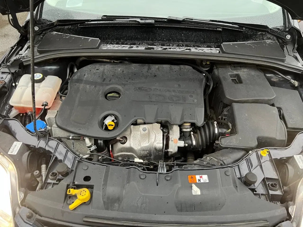 Billede 11 - Ford Focus 1,6 TDCi 105 Trend stc. ECO