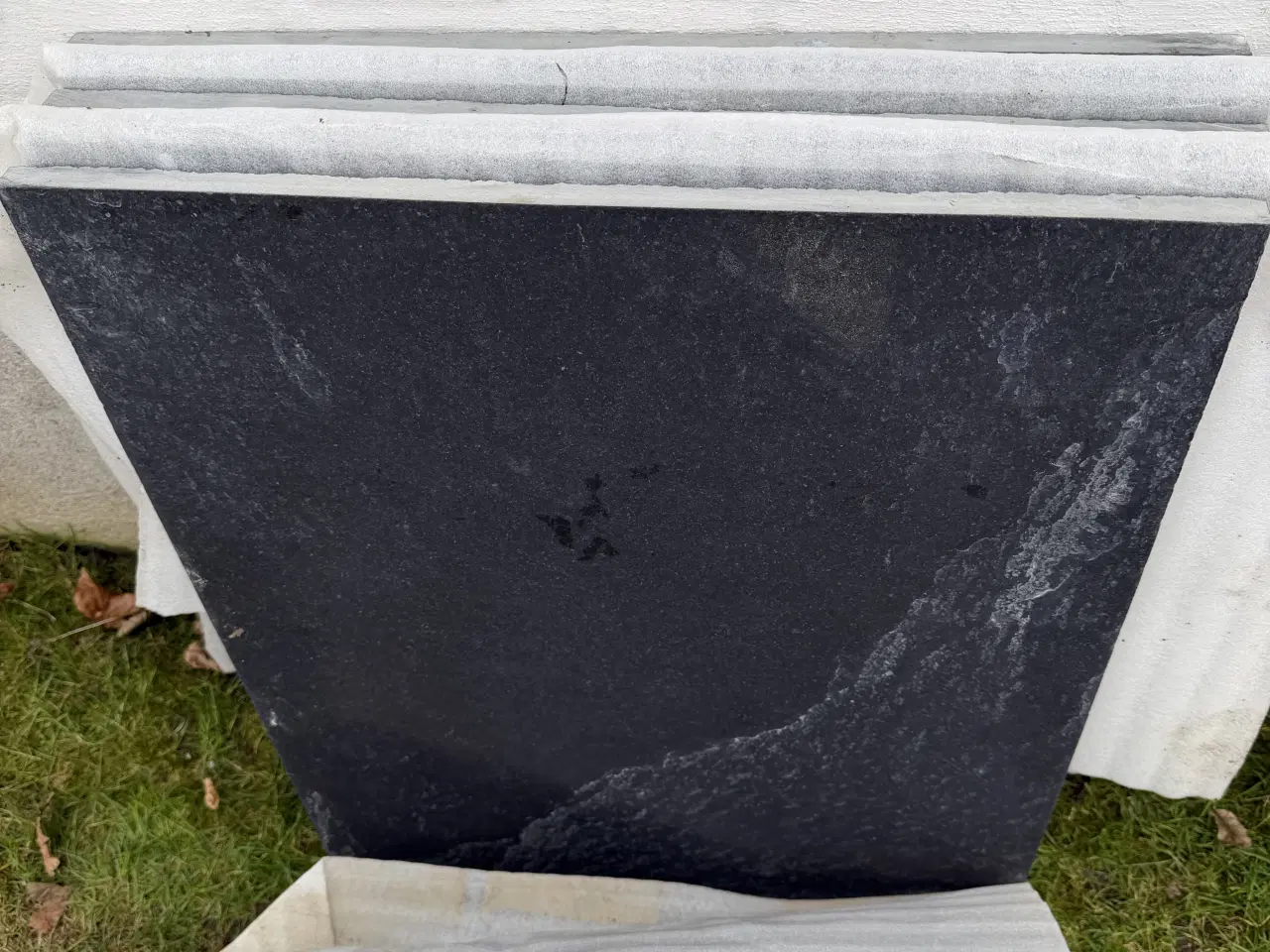 Billede 2 - Bahama Black historical 