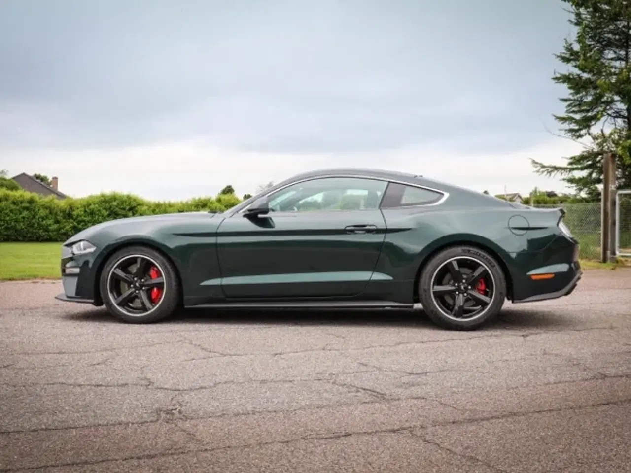 Billede 16 - Ford Mustang Bullitt 5.0 V8  2019 Kun 550 km  Som ny