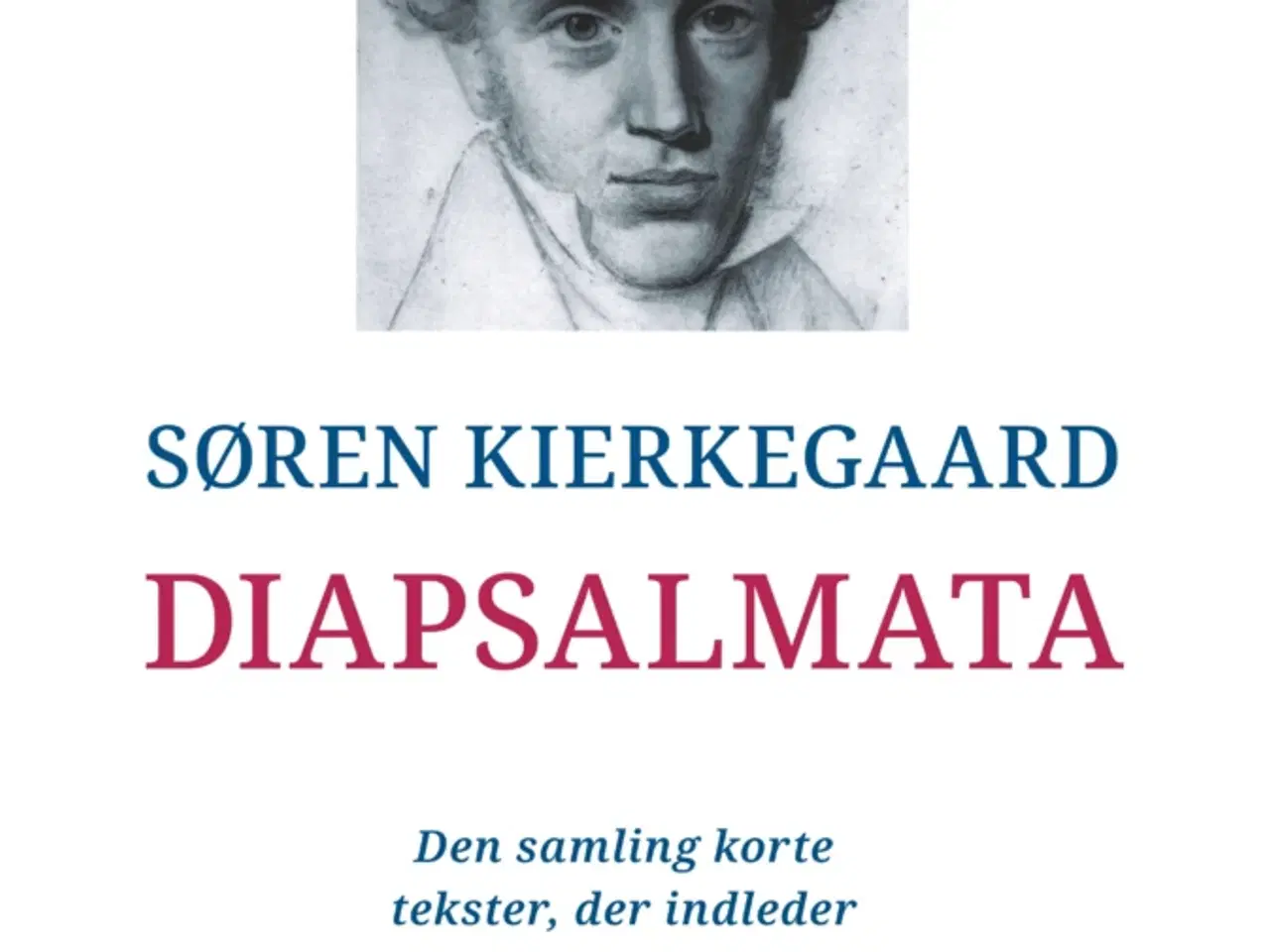 Billede 1 - Diapsalmata, Søren Kierkegaard