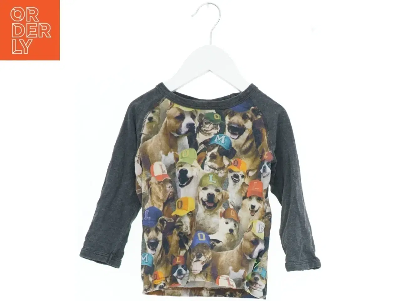 Billede 1 - Langærmet trøje med hundemotiv fra Molo (str. 92)