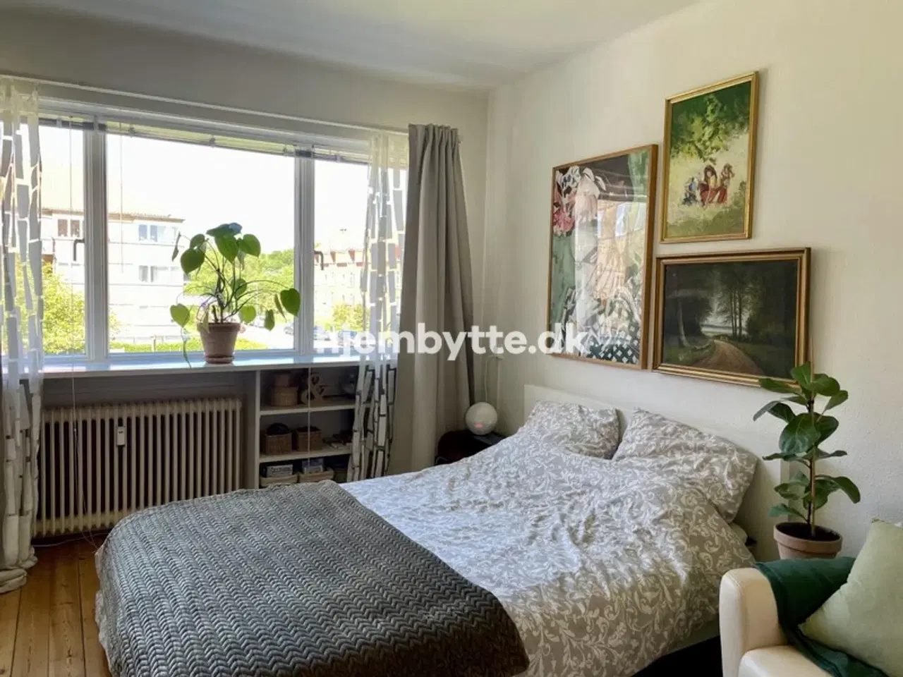 Billede 5 - Hjembytte - Grønnevej