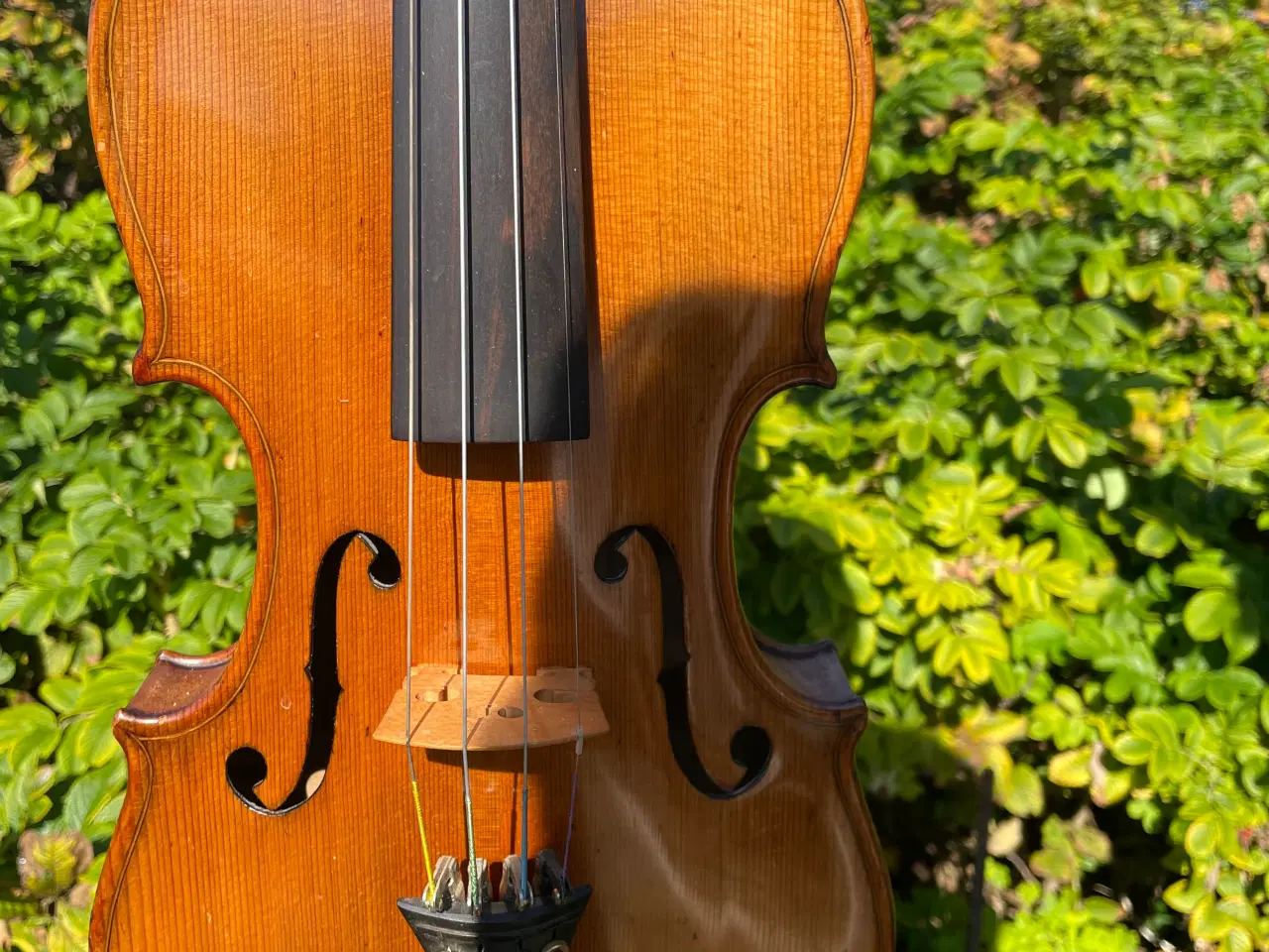 Billede 1 - Gammel Violin