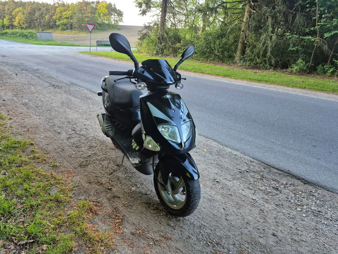 Billede 1 - Pgo T Rex