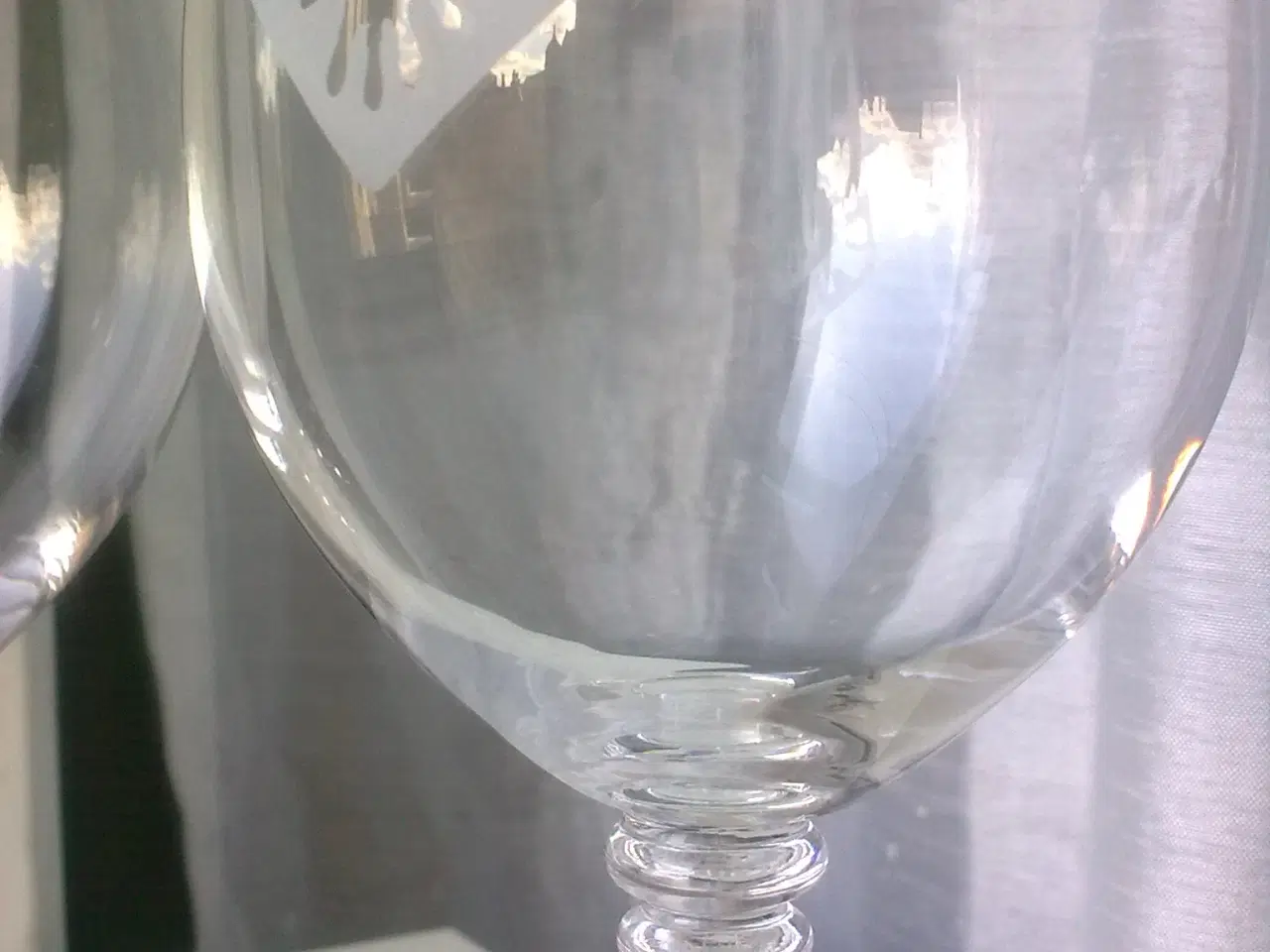 Billede 14 - Sort fod er ikke kun en spansk skinke...