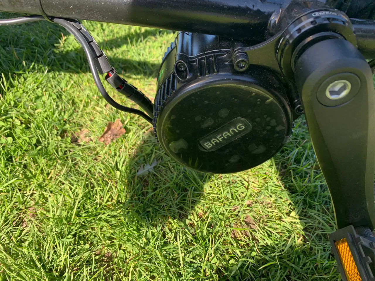 Billede 2 - Nihola ladcykel med El