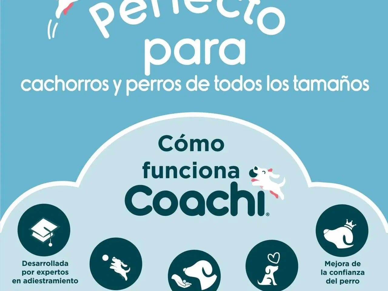 Billede 3 - Coachi Training Toy Stick - Blå hundetræningslegetøj