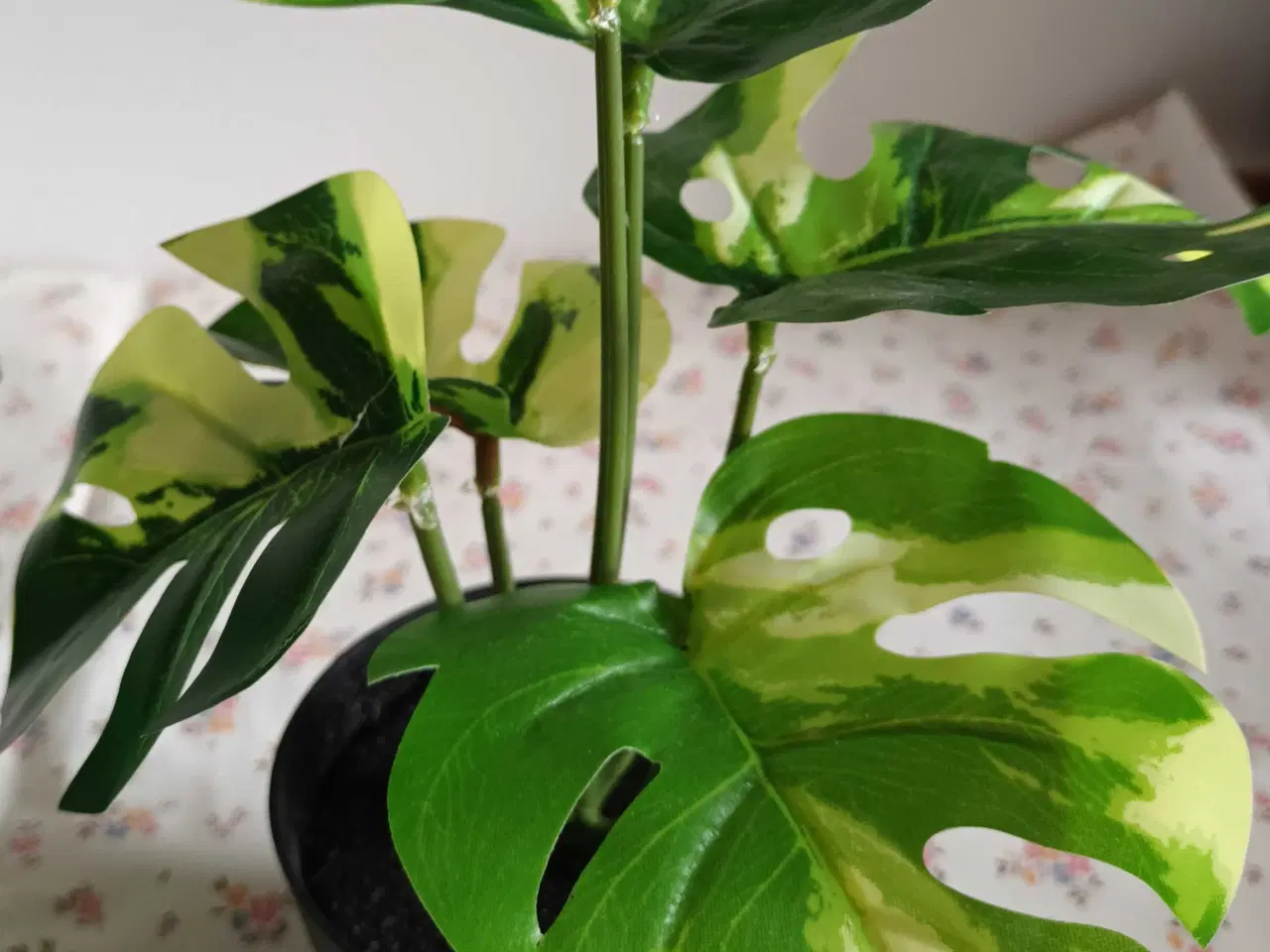 Billede 3 - Kunstige planter - 20 cm