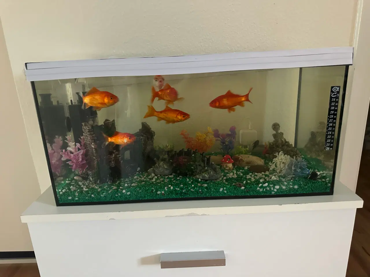 Billede 2 - Akvarie med fisk