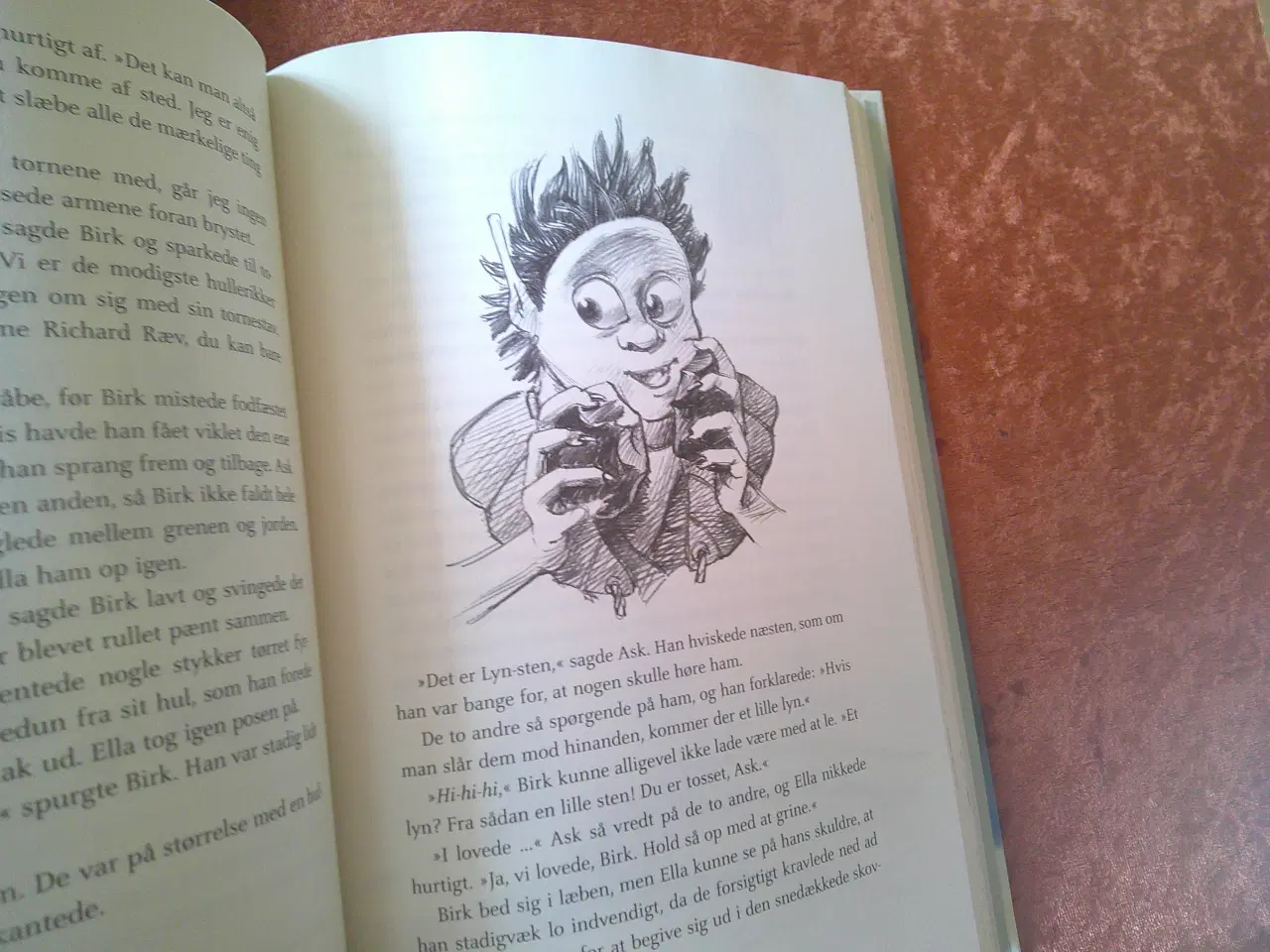 Billede 4 - Hullerikkerne fra Syvstammetræet, Josefine Ottese