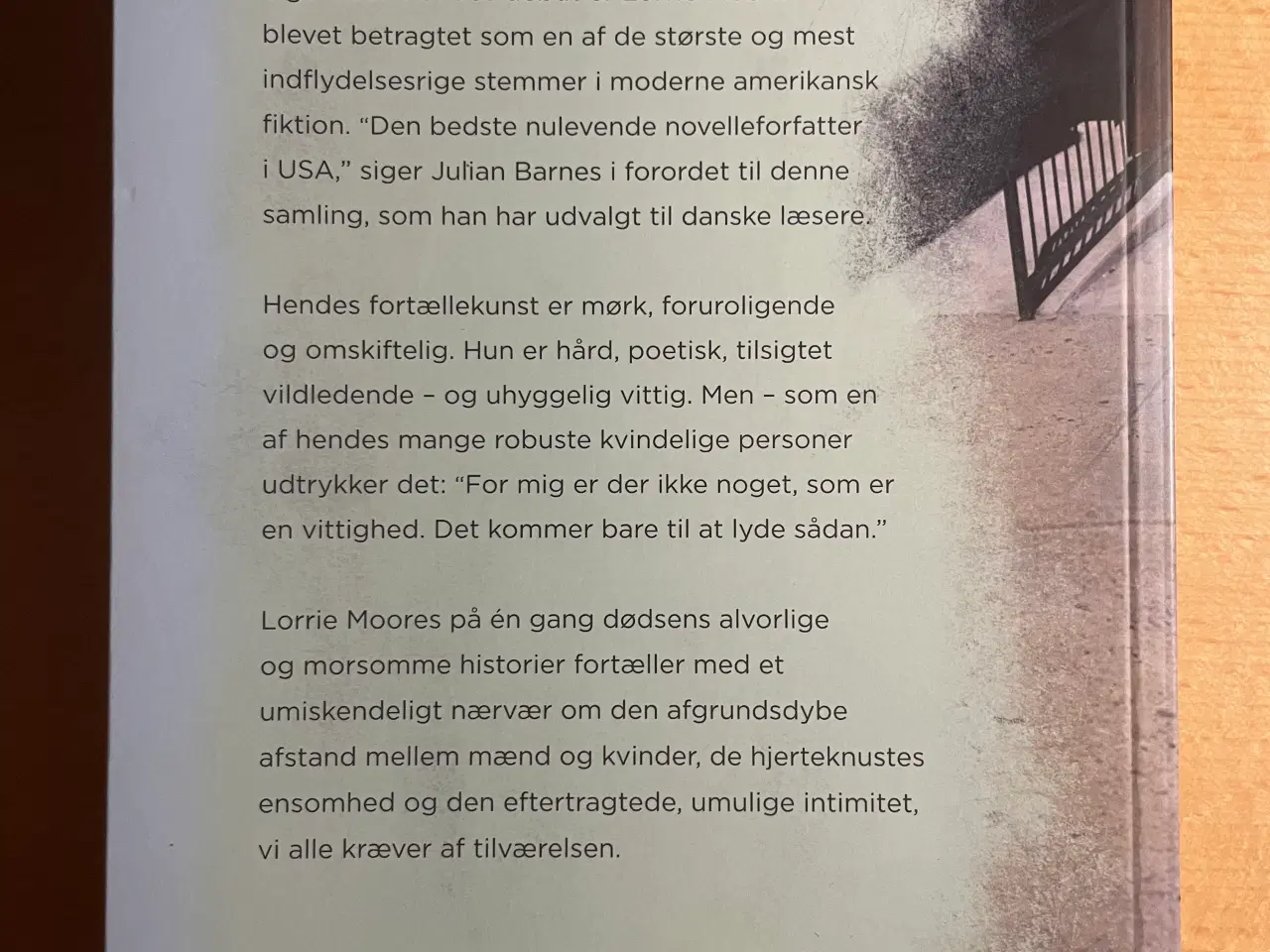 Billede 2 - Ligesom livet, Lorrie Moore