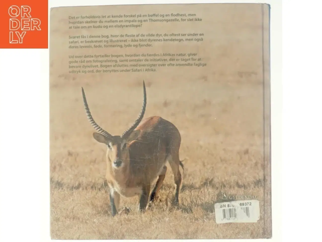 Billede 3 - Safari i Afrika