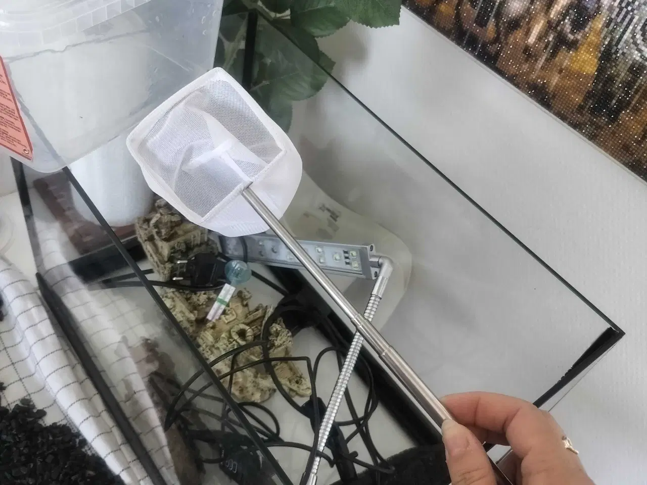 Billede 6 - Fedt akvarie 