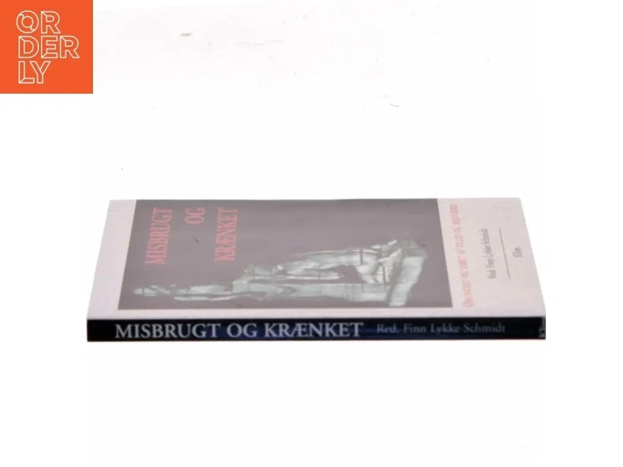 Billede 2 - Psykologi - Misbrugt og krænket : om incest og tab af tillid og selvværd af Finn Lykke Schmidt (Bog)