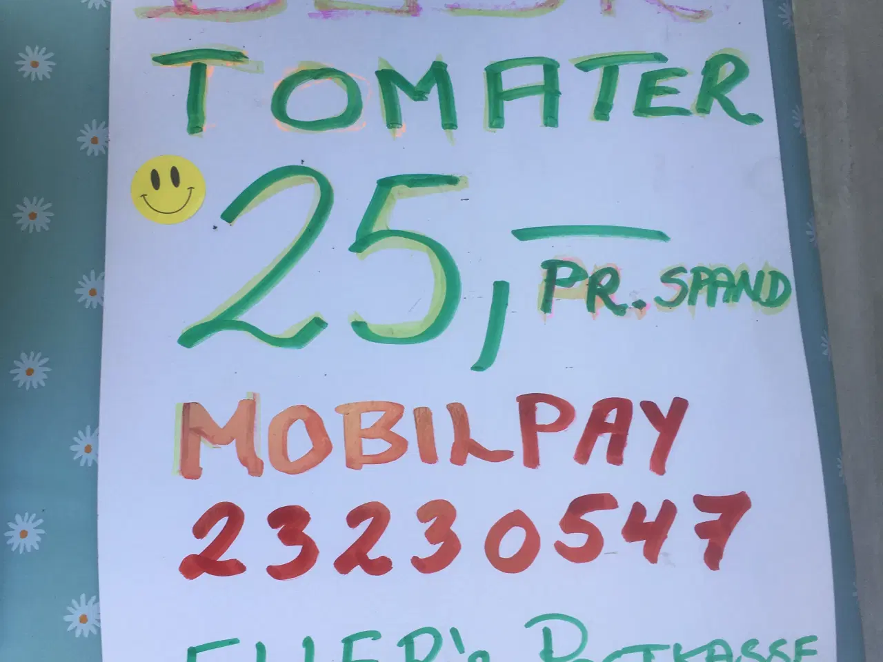 Billede 3 - Tomatplante - busk