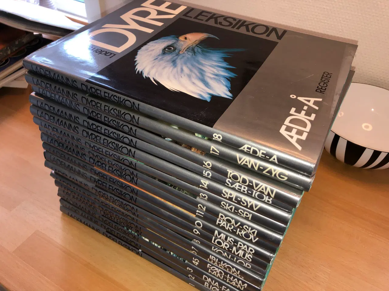 Billede 2 - Dyreleksikon