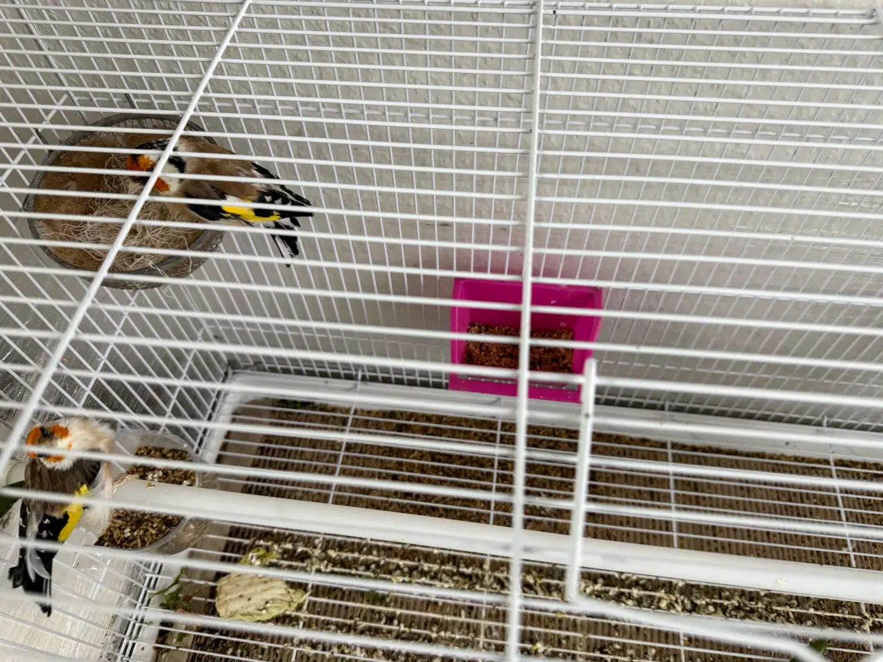 Billede 3 - Stillits