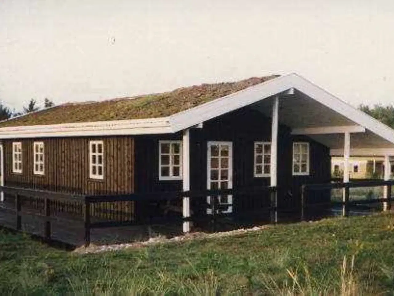 Billede 1 - Dejligt sommerhus ved Blokhus i Nordjylland