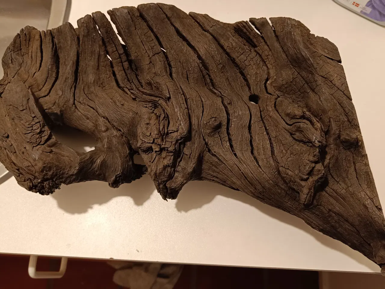 Billede 1 - Moseeg, stort flot stykke med flot patina