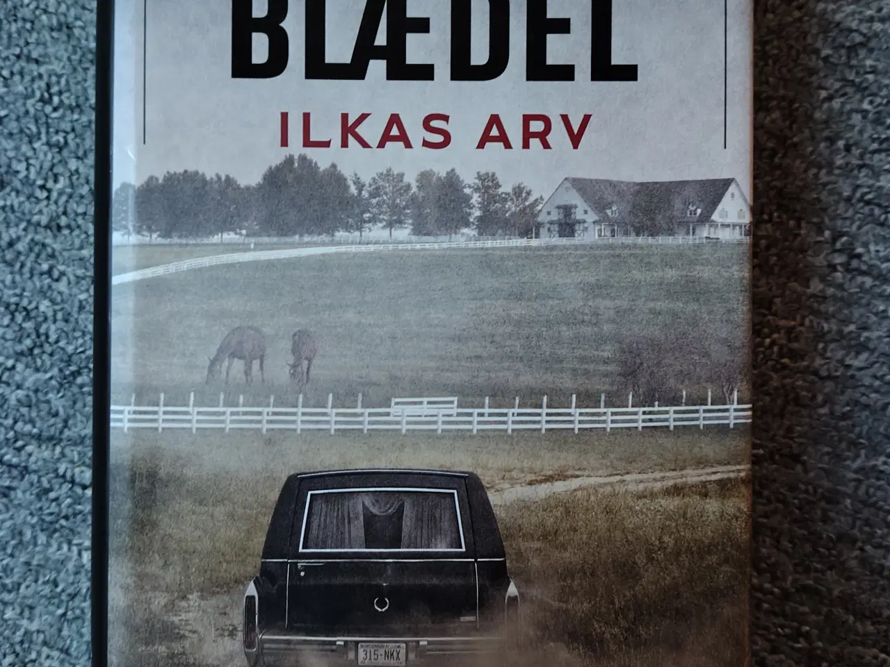 Billede 1 - Ilkas arv - Sara Blædel