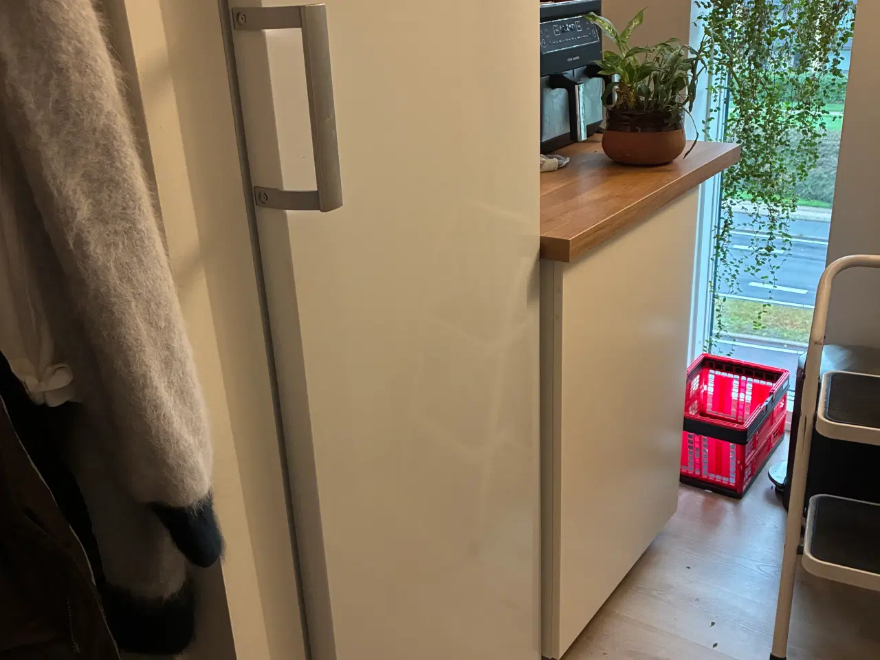 Billede 2 - Atlas NFS166 fryseskab 166L, automatisk afrimning