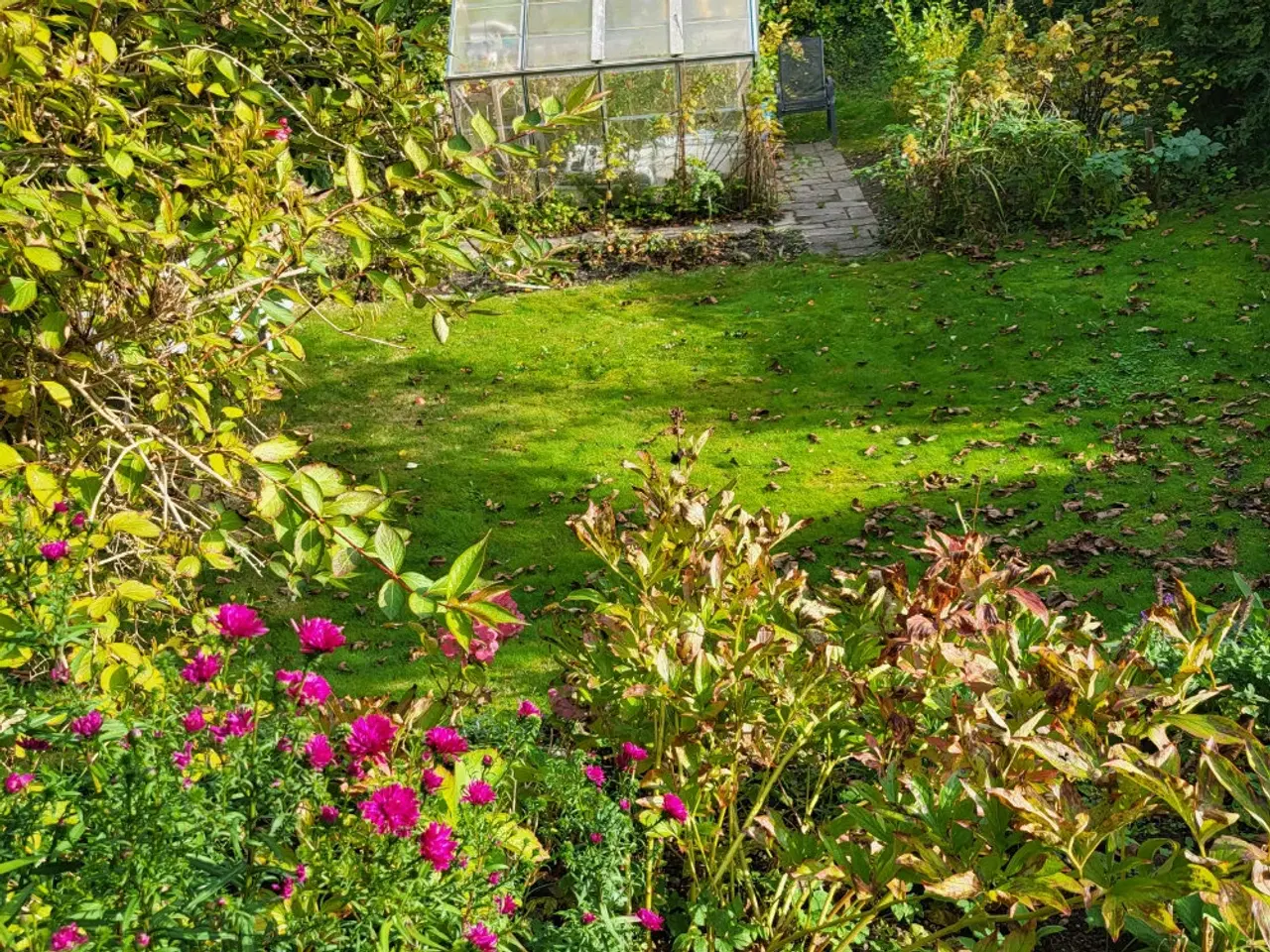 Billede 3 - Drivhus, gratis mod afhenting