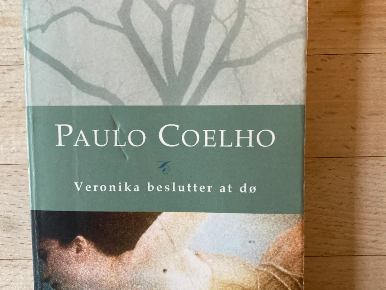 Billede 1 - Veronika beslutter af dø, Paolo Coelho