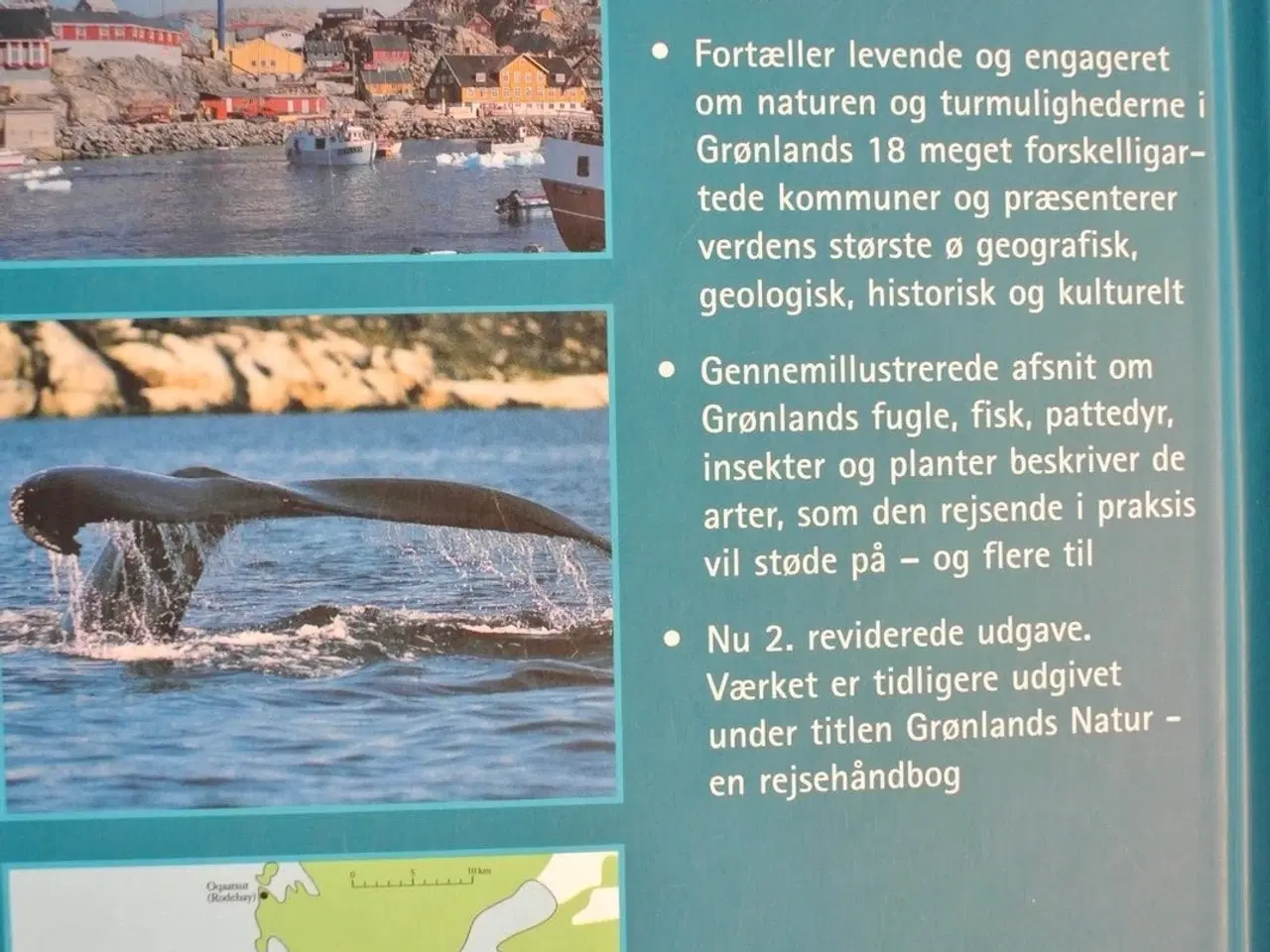 Billede 4 - naturguide til grønland, af benny gensbøl