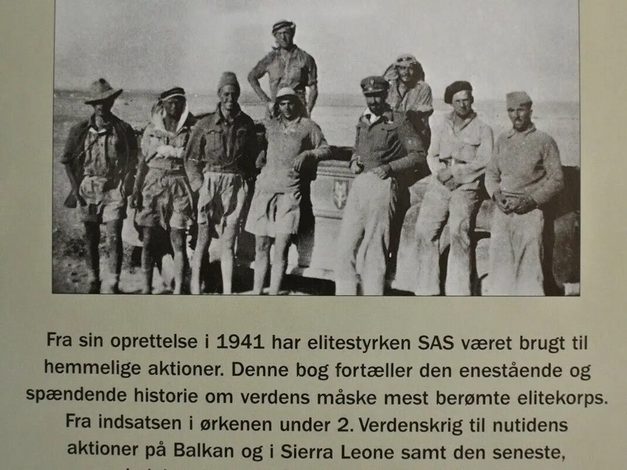 Billede 3 - hemmelige sas-aktioner, af mike ryan, emne: anden 